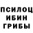 Псилоцибиновые грибы MAGIC MUSHROOMS STUDENT 17