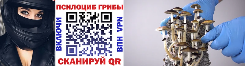 Галлюциногенные грибы Magic Shrooms  Курильск 