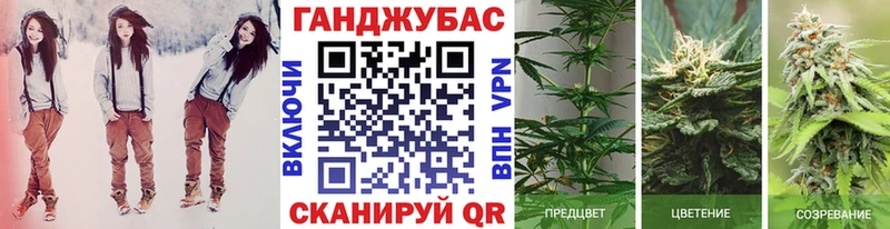 ссылка на мегу tor  как найти закладки  Курильск  Конопля семена 